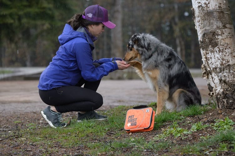 woman holds dogs injured paw